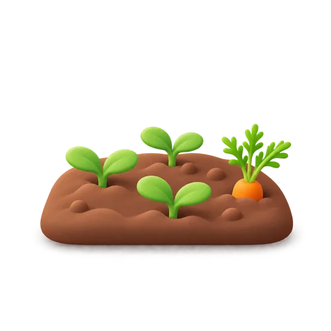 Vegetable garden
